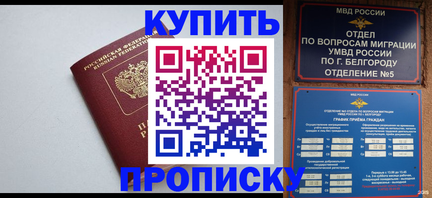 прописка регистрация в Ершове